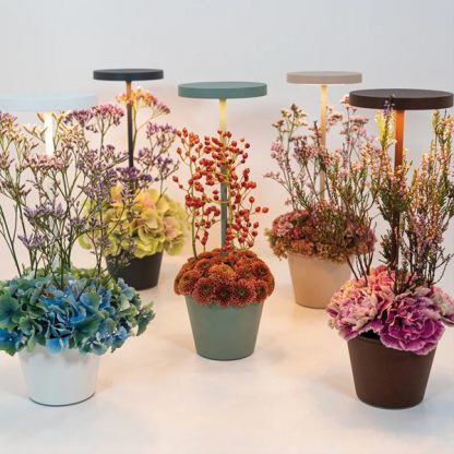 Billede af Poldina Reverso bordlampe med plads til planter i underskålen