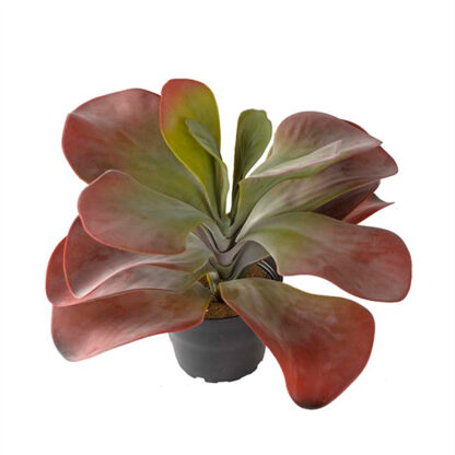 Billede af rød Kalanchoe, en lille kunstig plante, der ser naturtro ud, men som ikke kræver nogen form for pasning. Den lille plante kan stå alene, men den danner også en flot bund i en større plantekasse eller krukke.