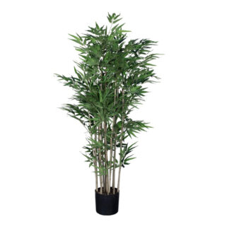 Billede af Lille Bambus, en kunstig plante, der ser helt ægte ud, men som ikke kræver pasning eller vanding. Planten kan stå alene, eller flere på række, men de kan også sættes sammen med lavere planter.