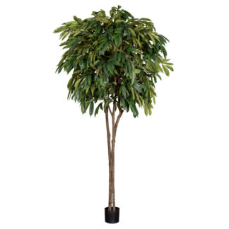 Billede af Longifolia, et kunstigt træ, der ser helt ægte ud. Træet kan stå alene, eller flere i en klynge, men det kan også sættes sammen med lavere planter i større plantekasser eller arrangementer. Skab en grøn oase i kontor landskabet eller i receptionen.