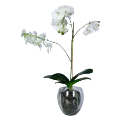 Billede af Orchide med glaspotte, en helt livagtigt udseende kunstig plante. Kan stå alene, men kan også sættes sammen med andre planter i større plantekasser.