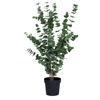 Billede af Stor Eukalyptus, en kunstig plante til dekoration på kontoret eller i receptionen. Planten er høj, og den kan sættes alene i en stor potte, eller den kan give fylde i et større plante arrangement.