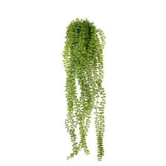 Billede af Dischidia, en charmerende kunstig plante, der fungerer som en smuk hængeplante og bringer en følelse af lethed og elegance til ethvert rum.